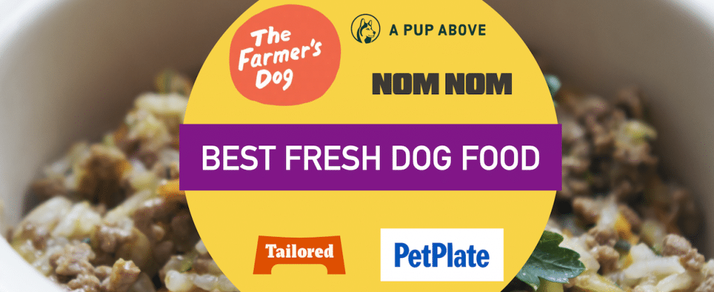 Fresh dog food featured image. | The Pampered Pup